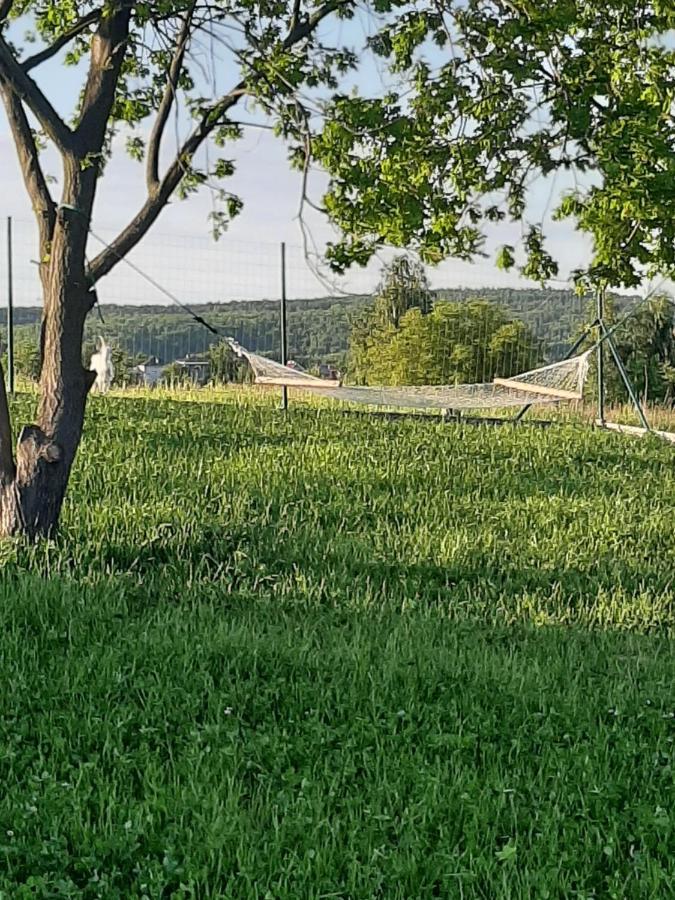 Gosp. Agroturystyczne Stary Gaj Villa Zerkowice Bagian luar foto