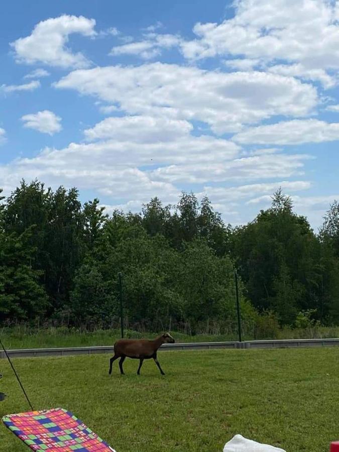 Gosp. Agroturystyczne Stary Gaj Villa Zerkowice Bagian luar foto