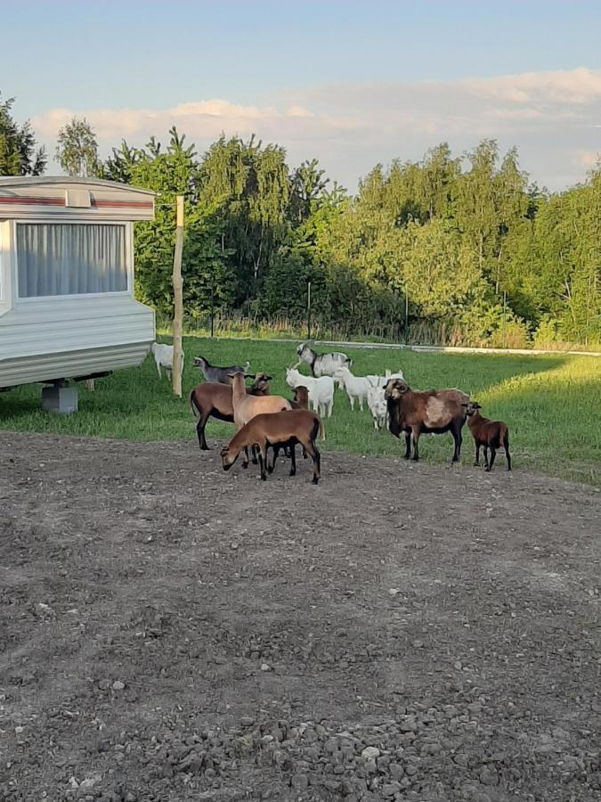 Gosp. Agroturystyczne Stary Gaj Villa Zerkowice Bagian luar foto