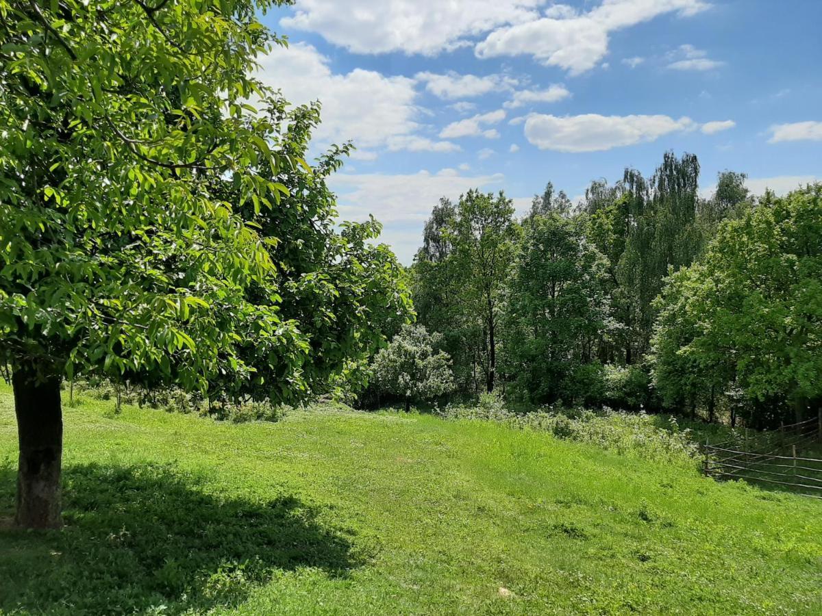 Gosp. Agroturystyczne Stary Gaj Villa Zerkowice Bagian luar foto