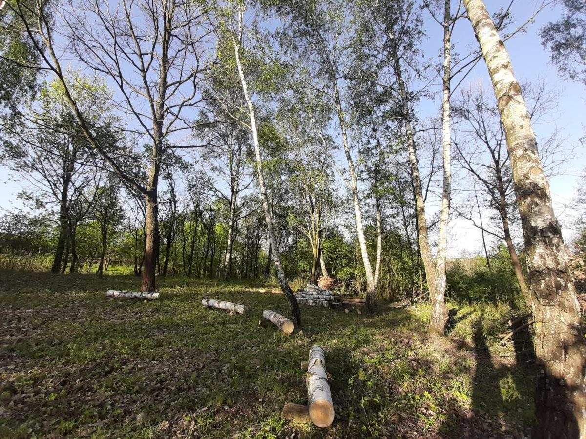 Gosp. Agroturystyczne Stary Gaj Villa Zerkowice Bagian luar foto
