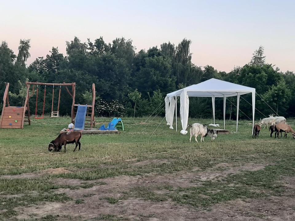 Gosp. Agroturystyczne Stary Gaj Villa Zerkowice Bagian luar foto