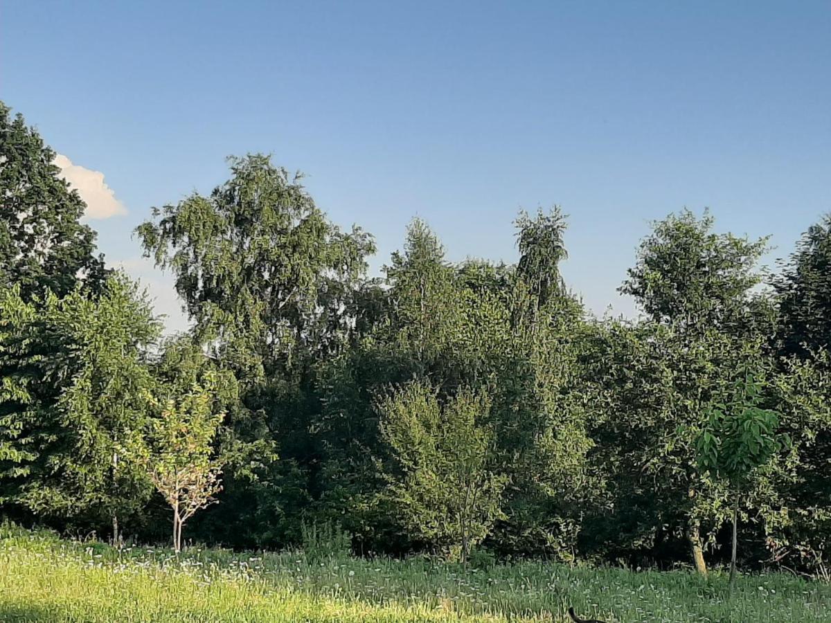 Gosp. Agroturystyczne Stary Gaj Villa Zerkowice Bagian luar foto
